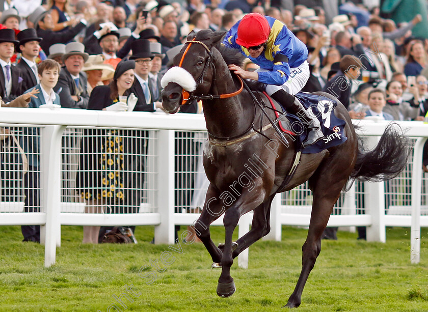 Tees-Spirit-0002 
 TEES SPIRIT (Barry McHugh) wins The Simpex Express Dash Handicap
Epsom 4 Jun 2022 - Pic Steven Cargill / Racingfotos.com