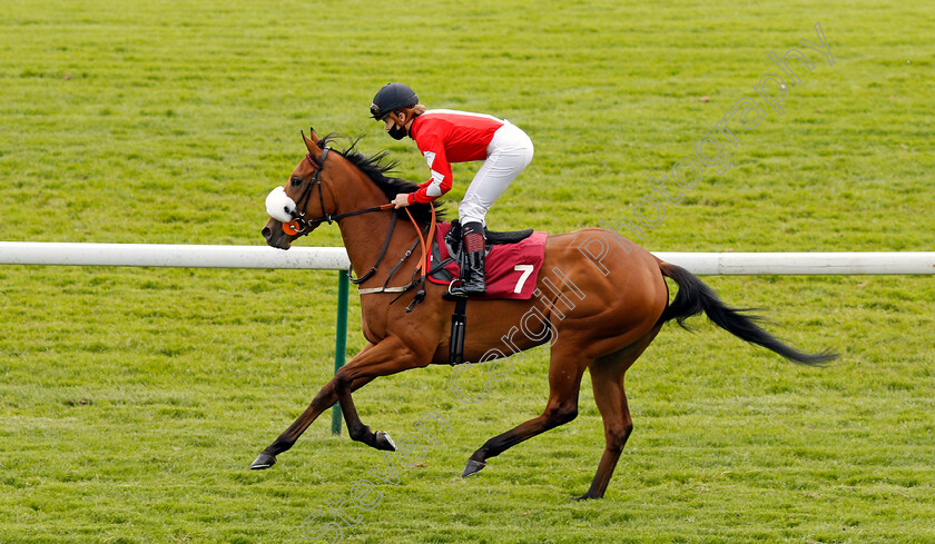 Mo-Celita-0001 
 MO CELITA (Laura Coughlan) winner of The Read Andrew Balding On Betway Insider Handicap
Haydock 29 May 2021 - Pic Steven Cargill / Racingfotos.com