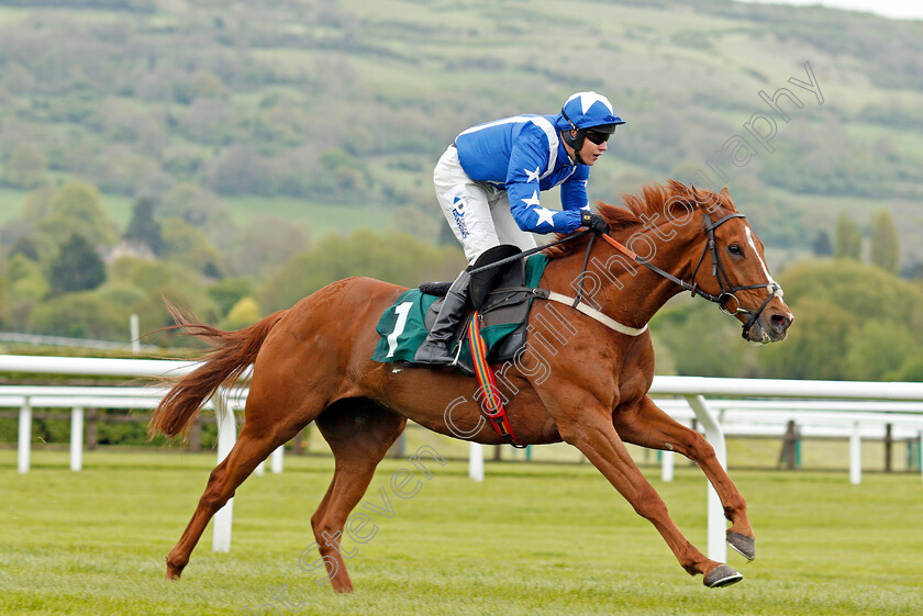 Monsieur-Gibraltar-0008 
 MONSIEUR GIBRALTAR (Lorcan Williams) wins The Brian Babbage Memorial Open Hunters Chase Cheltenham 4 May 2018 - Pic Steven Cargill / Racingfotos.com