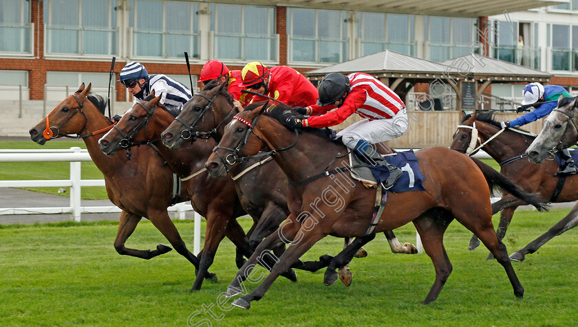 Redemptive-and-Mr-Millarcky-0003 
 REDEMPTIVE (nearside, William Buick) dead-heats with MR MILLARCKY (farside, Shane Kelly) from HE'S OUR STAR (2nd right) and NEWTON JACK (2nd left) in The Read Andrew Balding On Betway Insider Handicap
Lingfield 2 Sep 2020 - Pic Steven Cargill / Racingfotos.com