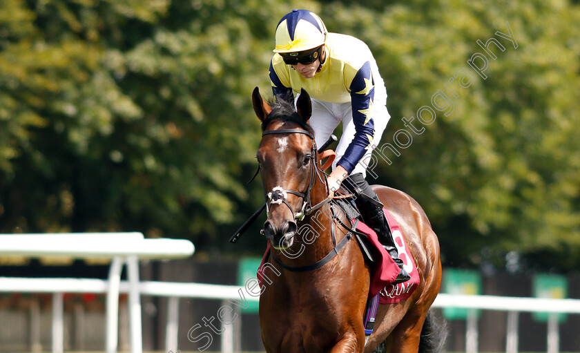 Sporting-Chance-0001 
 SPORTING CHANCE (James Doyle)
Newmarket 12 Jul 2018 - Pic Steven Cargill / Racingfotos.com