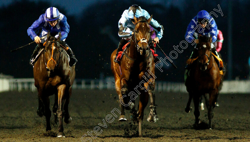 James-Street-0002 
 JAMES STREET (centre, Jason Watson) beats MOLAAHETH (left) in The 32Red Casino British Stallion Studs EBF Novice Stakes Div1
Kempton 5 Dec 2018 - Pic Steven Cargill / Racingfotos.com