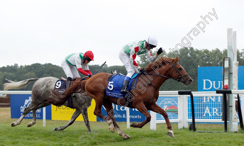 Mersal-0004 
 MERSAL (David Turner) wins The Emirates NBD Handicap 
Newbury 29 Jul 2018 - Pic Steven Cargill / Racingfotos.com