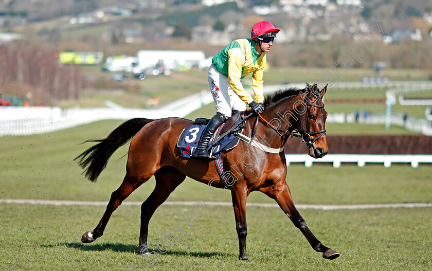 Finian s-Oscar-0001 
 FINIAN'S OSCAR (Robbie Power) Cheltenham 15 Mar 2018 - Pic Steven Cargill / Racingfotos.com