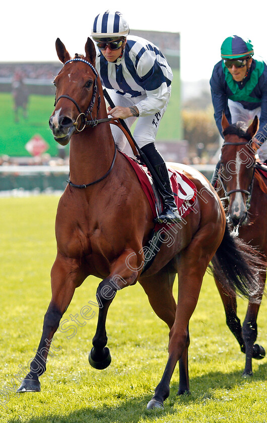 Marieta-0001 
 MARIETA (T Piccone)
Longchamp 6 Oct 2019 - Pic Steven Cargill / Racingfotos.com