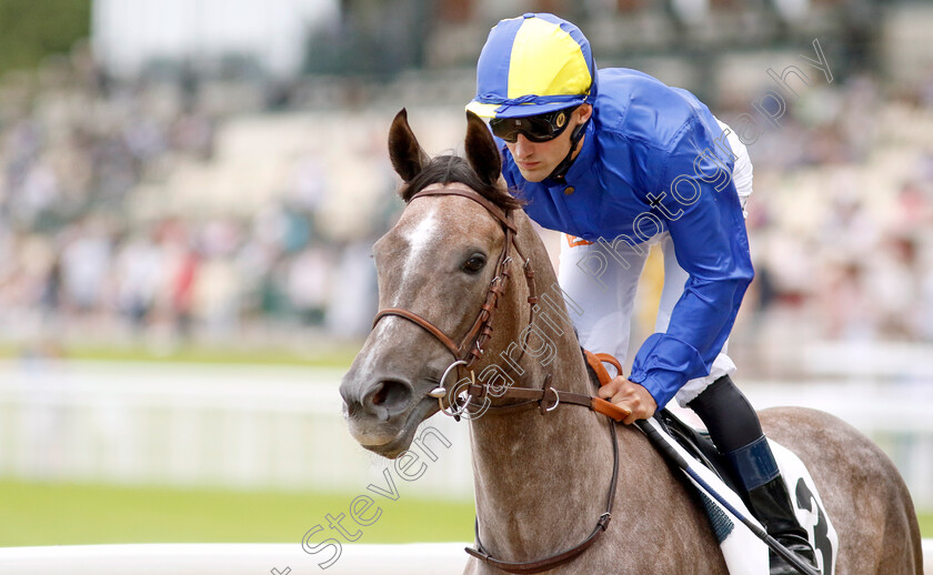 Rocket-Rise-0001 
 ROCKET RISE (A Lemaitre) 
Deauville 12 Aug 2023 - Pic Steven Cargill / Racingfotos.com