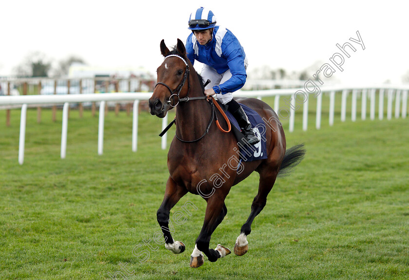 Raheeb-0001 
 RAHEEB (Jim Crowley)
Bath 17 Oct 2018 - Pic Steven Cargill / Racingfotos.com