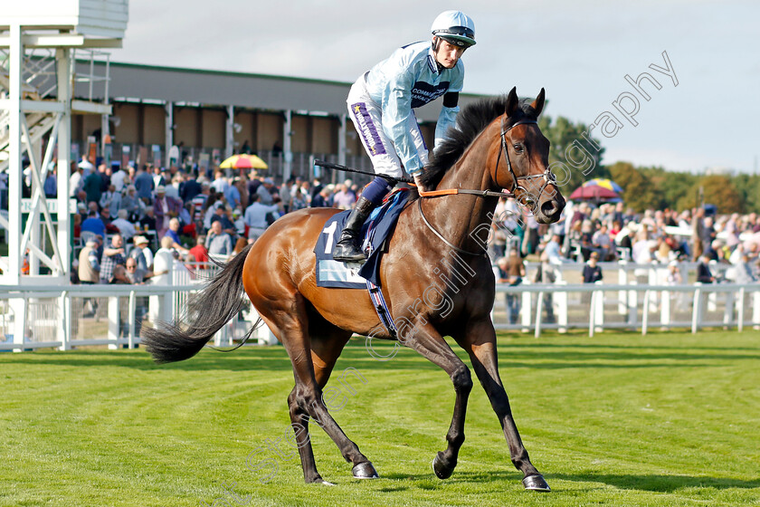 Pearl-Beach-0002 
 PEARL BEACH (Daniel Muscutt) 
Yarmouth 14 Sep 2022 - Pic Steven Cargill / Racingfotos.com