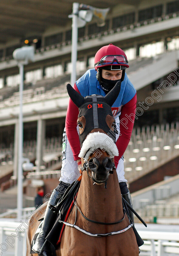 The-Butcher-Said-0002 
 THE BUTCHER SAID (Adrian Heskin)
Cheltenham 15 Nov 2020 - Pic Steven Cargill / Racingfotos.com