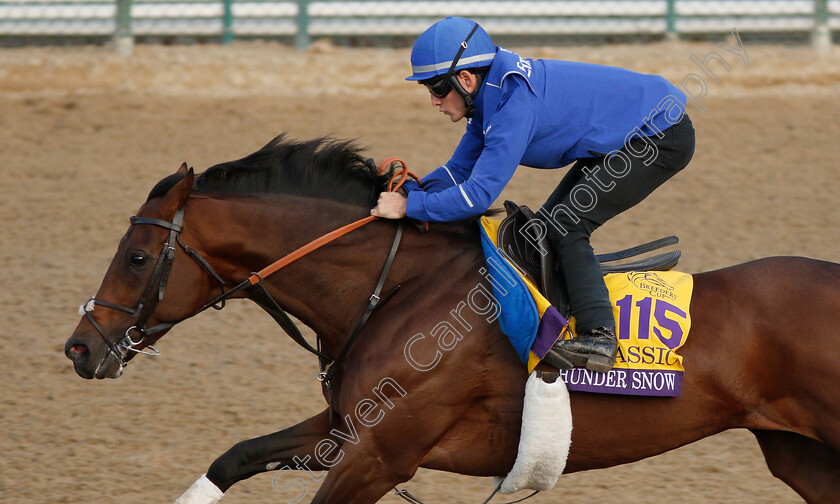 Thunder-Snow-0002 
 THUNDER SNOW exercising ahead of The Breeders' Cup Classic
Churchill Downs USA 31 Oct 2018 - Pic Steven Cargill / Racingfotos.com