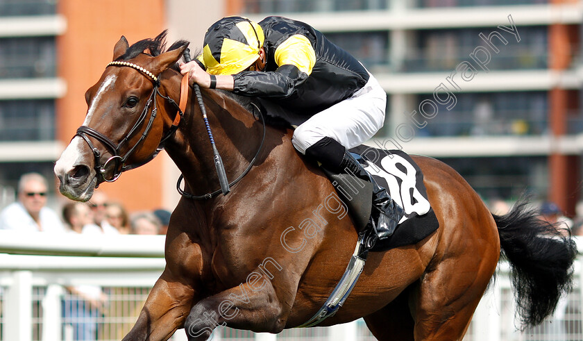 Wejdan-0004 
 WEJDAN (James Doyle) wins The John Drew Memorial Maiden Fillies Stakes
Newbury 6 Aug 2019 - Pic Steven Cargill / Racingfotos.com