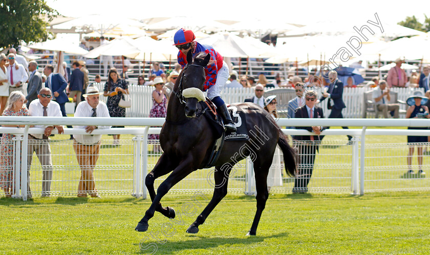 Big-Mojo-0013 
 BIG MOJO (Silvestre de Sousa) winner of The Jaeger Lecoultre Molecomb Stakes
Goodwood 31 Jul 2024 - Pic Steven Cargill / Racingfotos.com