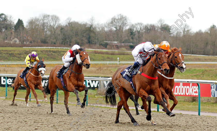 Capla-Crusader-0002 
 CAPLA CRUSADER (Silvestre De Sousa) wins The Bombardier British Hopped Amber Beer Handicap
Lingfield 26 Mar 2021 - Pic Steven Cargill / Racingfotos.com