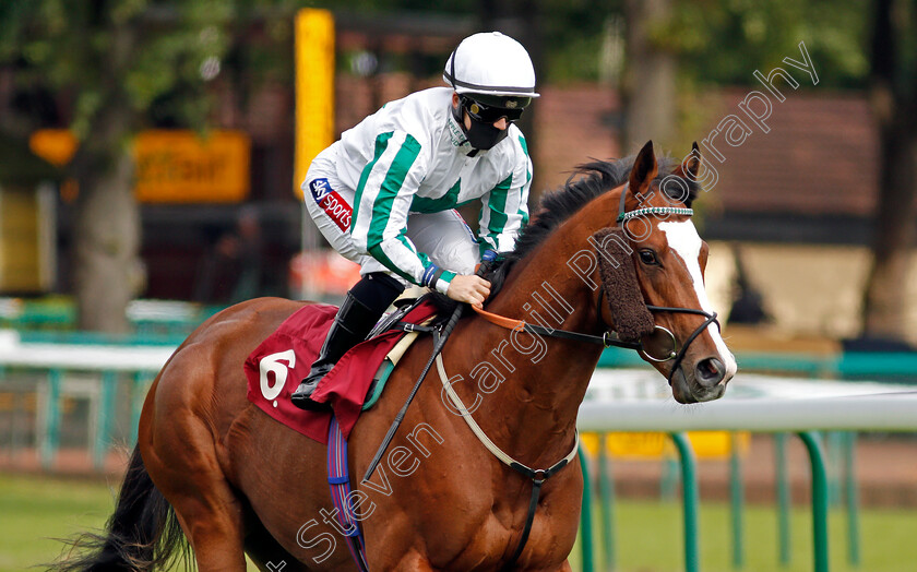 Surprise-Exhibit-0002 
 SURPRISE EXHIBIT (Hollie Doyle)
Haydock 5 Sep 2020 - Pic Steven Cargill / Racingfotos.com