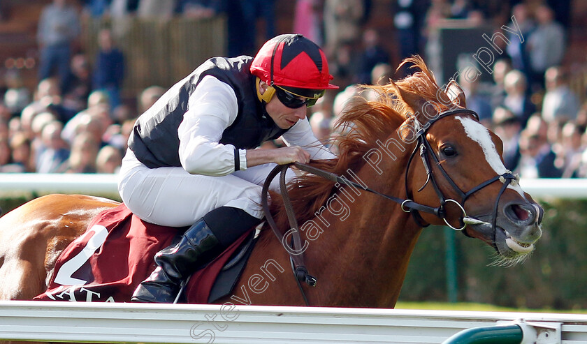 Kyprios-0004 
 KYPRIOS (Ryan Moore) wins The Qatar Prix de Cadran
Longchamp 5 Oct 2024 - Pic Steven Cargill / Racingfotos.com