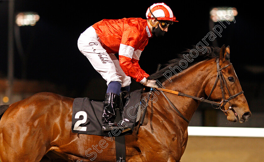 La-Tihaty-0006 
 LA TIHATY (Cameron Noble) winner of The Support The Injured Jockeys Fund Novice Stakes
Chelmsford 22 Jan 2021 - Pic Steven Cargill / Racingfotos.com