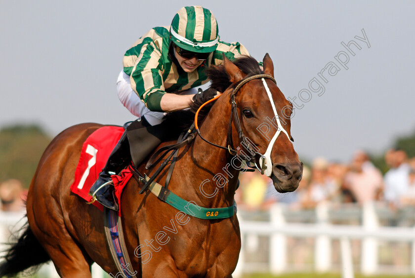 Military-Decoration-0001 
 MILITARY DECORATION (Christian Howarth)
Sandown 21 Jul 2021 - Pic Steven Cargill / Racingfotos.com