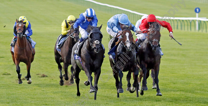 Mutasaabeq-0005 
 MUTASAABEQ (left, Jim Crowley) beats REGAL REALITY (centre) and CHINDIT (right) in The Al Basti Equiworld Dubai Joel Stakes
Newmarket 29 Sep 2023 - Pic Steven Cargill / Racingfotos.com