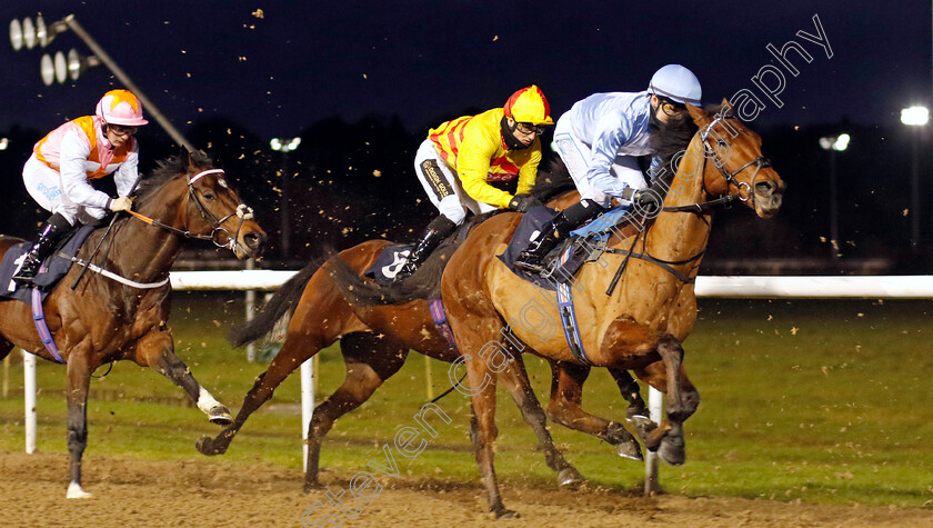 King-Of-Narnia-0001 
 KING OF NARNIA (Kieran Shoemark)
Wolverhampton 20 Dec 2024 - Pic Steven Cargill / Racingfotos.com