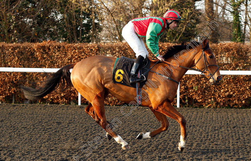 Distant-Applause-0001 
 DISTANT APPLAUSE (Fergus Sweeney)
Kempton 4 Jan 2019 - Pic Steven Cargill / Racingfotos.com