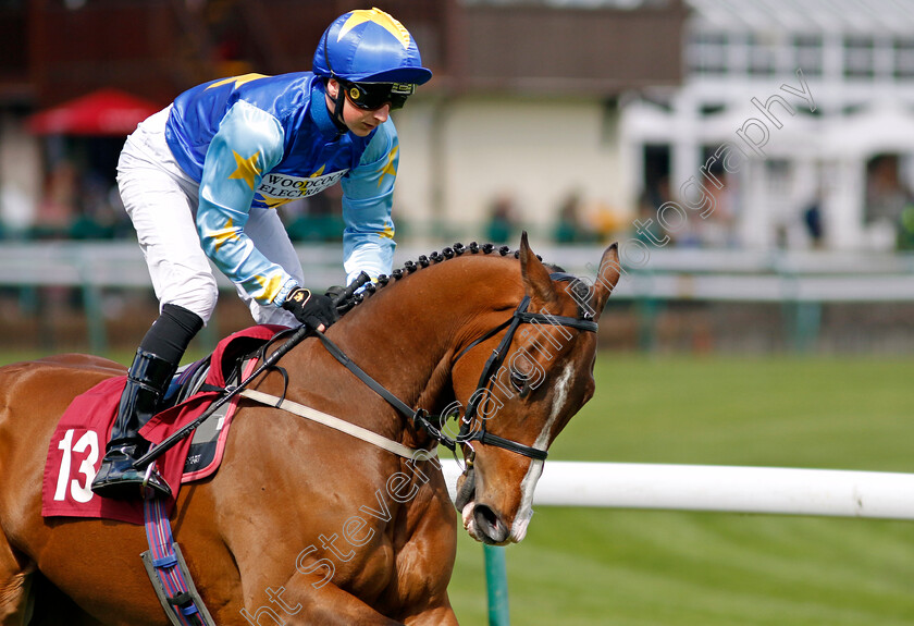 Beale-Street-0002 
 BEALE STREET (Andrew Breslin)
Haydock 8 Jun 2024 - Pic Steven Cargill / Racingfotos.com