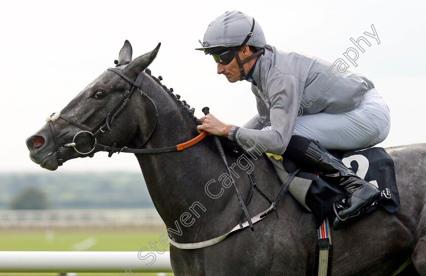 Fallen-Angel-0008 
 FALLEN ANGEL (Daniel Tudhope) wins The Moyglare Stud Stakes
The Curragh 10 Sep 2023 - Pic Steven Cargill / Racingfotos.com