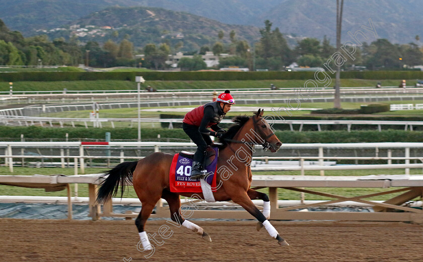 Fev-Rover-0002 
 FEV ROVER training for The Breeders' Cup Filly & Mare Turf
Santa Anita USA, 31 October 2023 - Pic Steven Cargill / Racingfotos.com