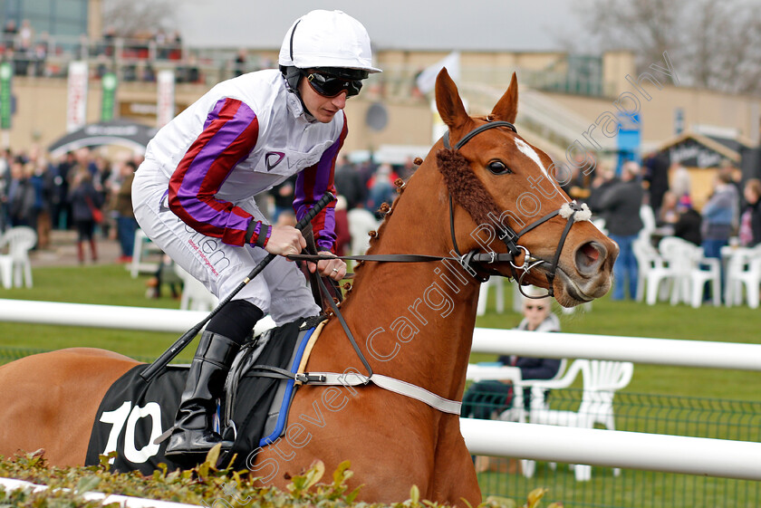 Von-Blucher-0001 
 VON BLUCHER (P J McDonald) Doncaster 24 Mar 2018 - Pic Steven Cargill / Racingfotos.com