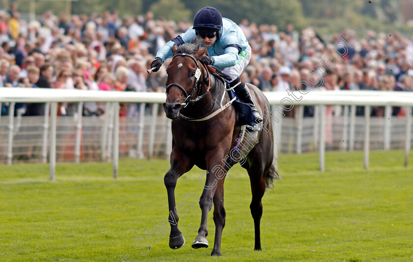 Royal-Patronage-0006 
 ROYAL PATRONAGE (Jason Hart) wins The Tattersalls Acomb Stakes
York 18 Aug 2021 - Pic Steven Cargill / Racingfotos.com