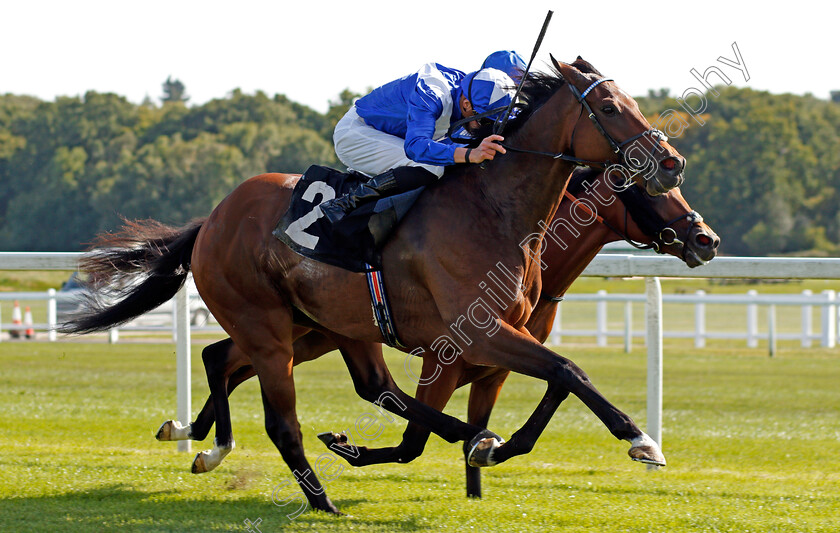 Humanitarian-0004 
 HUMANITARIAN (James Doyle) wins The Dubai Duty Free Handicap
Newbury 18 Sep 2020 - Pic Steven Cargill / Racingfotos.com