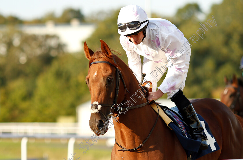 Extreme-Force-0002 
 EXTREME FORCE (Ryan Moore)
Wolverhampton 5 Sep 2018 - Pic Steven Cargill / Racingfotos.com