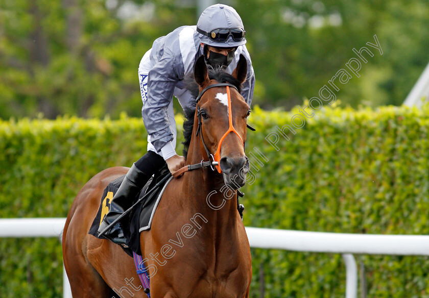 Mr-Trick-0001 
 MR TRICK (Pat Dobbs)
Kempton 2 Jun 2021 - Pic Steven Cargill / Racingfotos.com