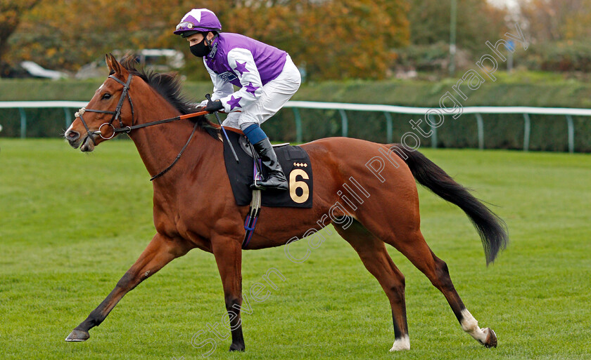 Tinnahalla-0001 
 TINNAHALLA (William Buick)
Nottingham 28 Oct 2020 - Pic Steven Cargill / Racingfotos.com