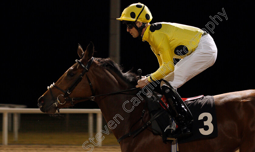 Cape-Liberty-0001 
 CAPE LIBERTY (Jack Mitchell) Chelmsford 16 Nov 2017 - Pic Steven Cargill / Racingfotos.com