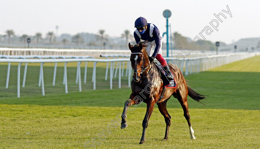 Global-Giant-0001 
 GLOBAL GIANT (Frankie Dettori)
Bahrain 20 Nov 2020 - Pic Steven Cargill / Racingfotos.com