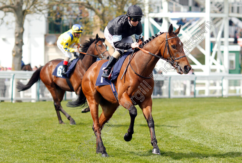 Azets-0001 
 AZETS (Martin Dwyer)
Yarmouth 23 Apr 2019 - Pic Steven Cargill / Racingfotos.com