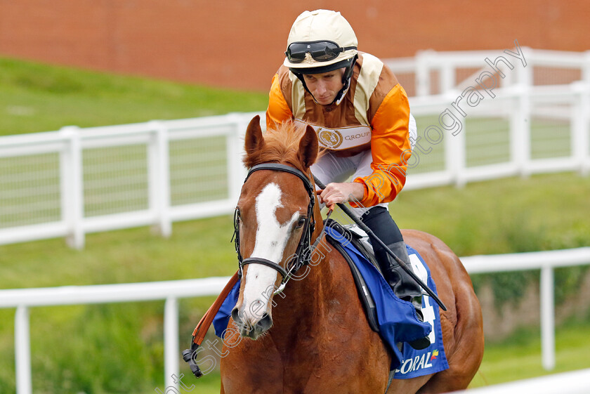 Michaela s-Boy 
 MICHAELA'S BOY (Ryan Moore)
Sandown 26 May 2022 - Pic Steven Cargill / Racingfotos.com