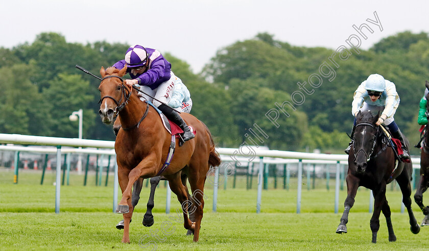 Stage-Effect-0004 
 STAGE EFFECT (Tom Marquand) wins The A&B Engineering Mechanical and Electrical Services EBF Maiden Fillies Stakes
Haydock 24 May 2024 - Pic Steven Cargill / Racingfotos.com