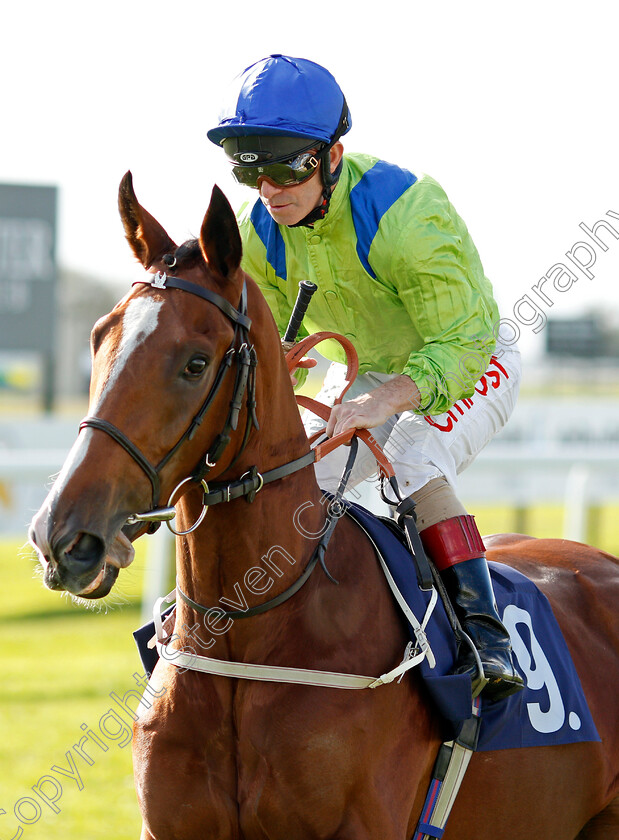 Salamanca-School-0001 
 SALAMANCA SCHOOL (Franny Norton)
Bath 16 Oct 2019 - Pic Steven Cargill / Racingfotos.com