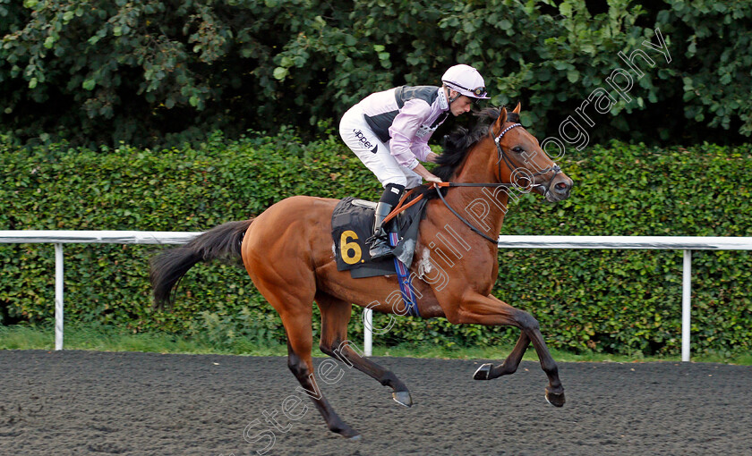 Dream-Show-0001 
 DREAM SHOW (Kieran Shoemark)
Kempton 3 Sep 2021 - Pic Steven Cargill / Racingfotos.com