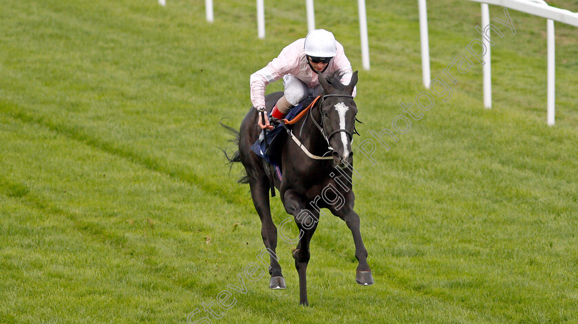 Whitehaven-0004 
 WHITEHAVEN (Andrea Atzeni) wins The attheraces.com Handicap
Yarmouth 20 Oct 2020 - Pic Steven Cargill / Racingfotos.com