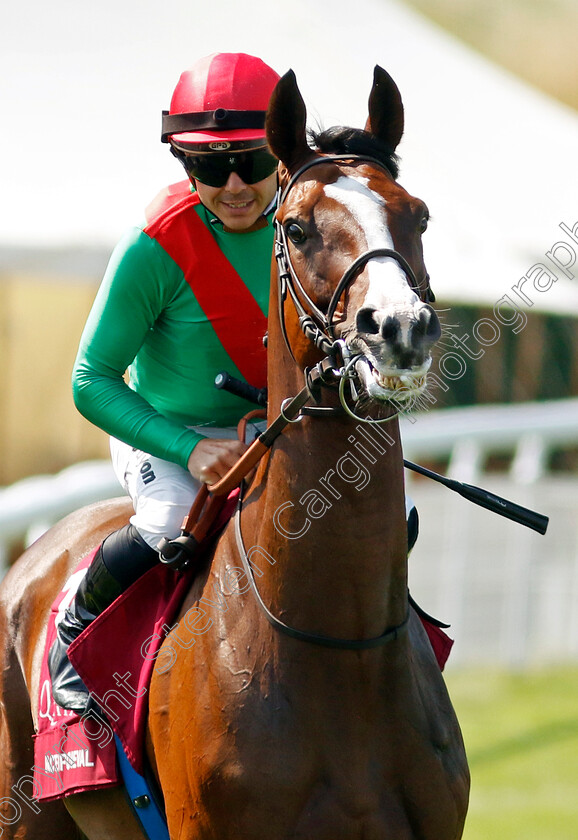 Facteur-Cheval-0001 
 FACTEUR CHEVAL (Maxime Guyon)
Goodwood 31 Jul 2024 - Pic Steven Cargill / Racingfotos.com