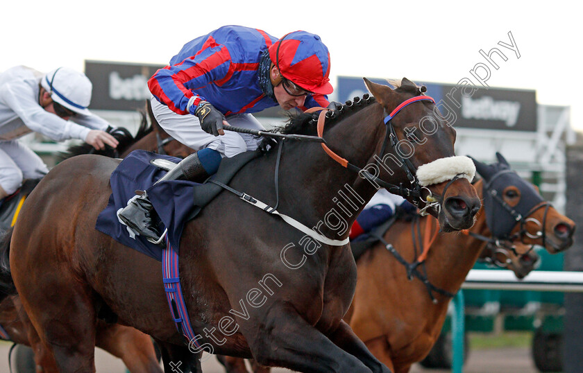 Lord-of-The-Lodge 
 LORD OF THE LODGE (Sam James)
Lingfield 5 Feb 2022 - Pic Steven Cargill / Racingfotos.com