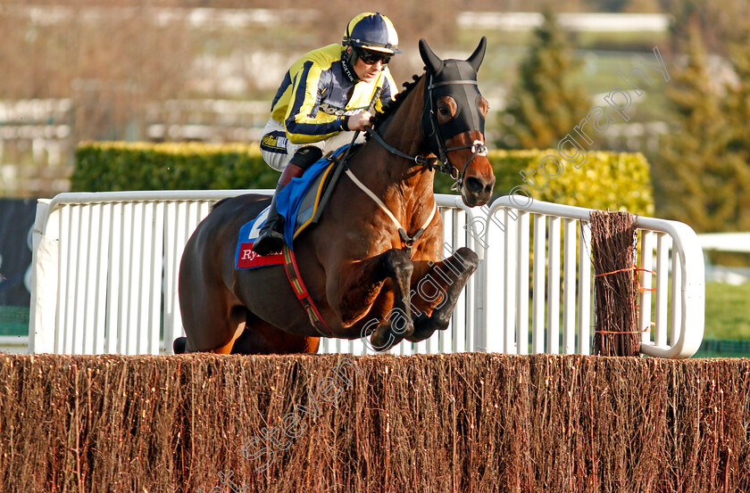 Good-Boy-Bobby-0001 
 GOOD BOY BOBBY (San Twiston-Davies)
Cheltenham 14 Dec 2019 - Pic Steven Cargill / Racingfotos.com