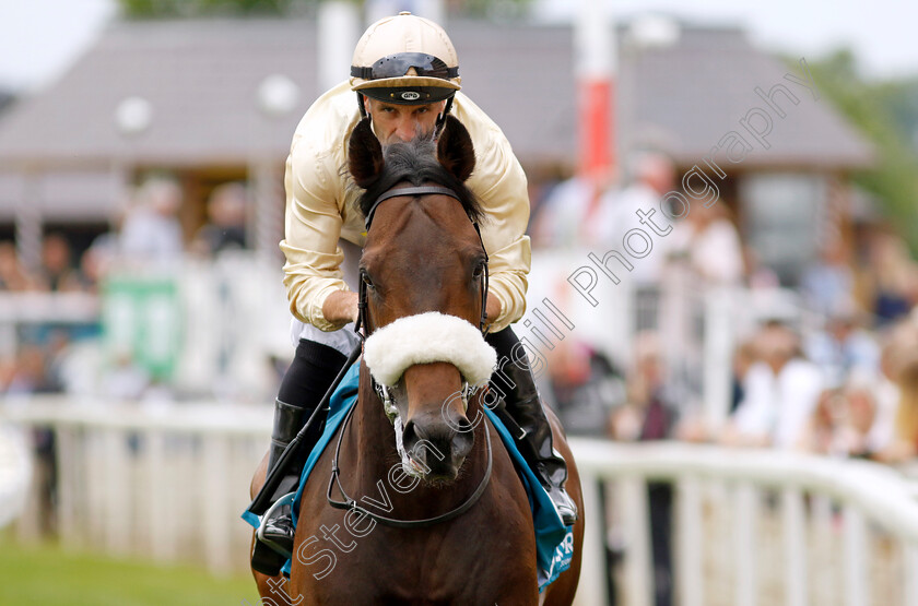 Catch-The-Paddy-0001 
 CATCH THE PADDY (Neil Callan)
York 17 Jun 2023 - Pic Steven Cargill / Racingfotos.com