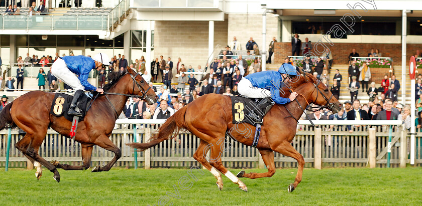 Ghaly-0001 
 GHALY (Daniel Tudhope) beats KING OF CONQUEST (left) in The Racing Welfare Handicap
Newmarket 29 Oct 2022 - Pic Steven Cargill / Racingfotos.com