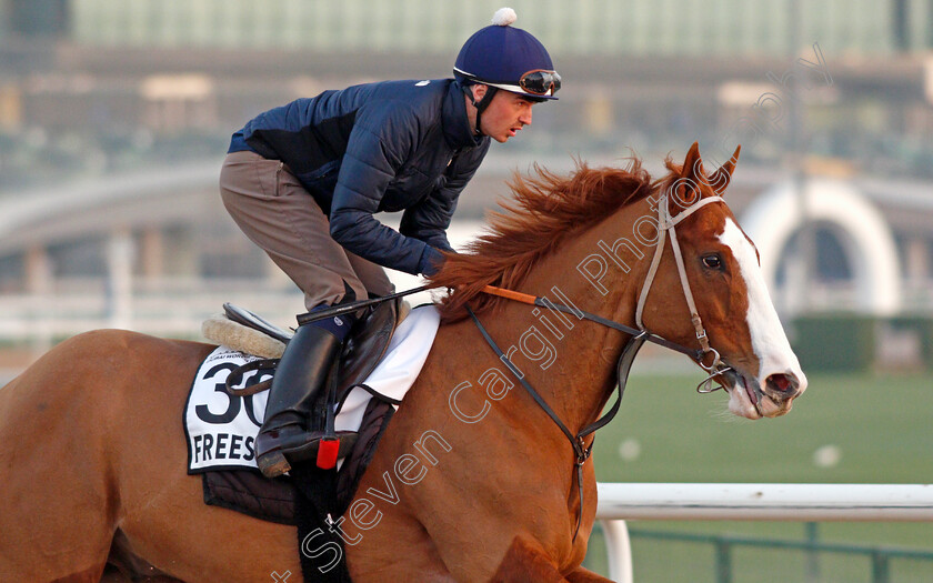 Freescape-0002 
 FREESCAPE exercising for trainer David Marnane
Meydan, Dubai, 3 Feb 2022 - Pic Steven Cargill / Racingfotos.com