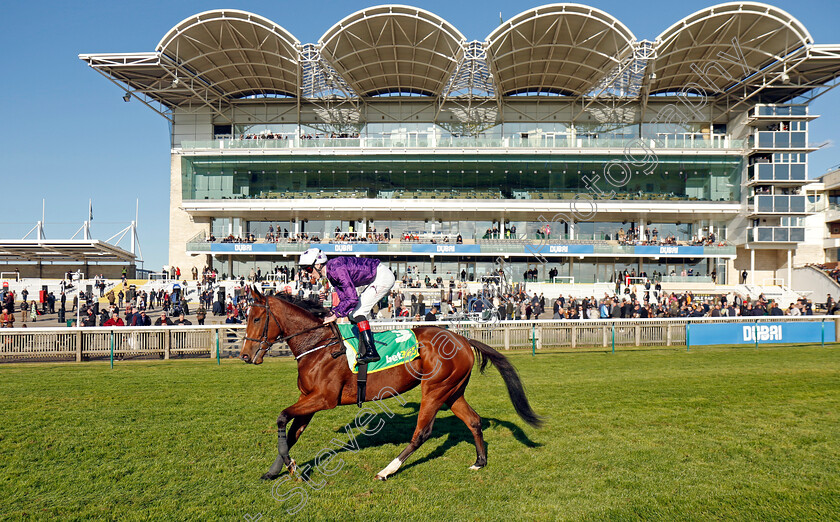 California-Dreamer-0002 
 CALIFORNIA DREAMER (David Egan)
Newmarket 11 Oct 2024 - Pic Steven Cargill / Racingfotos.com