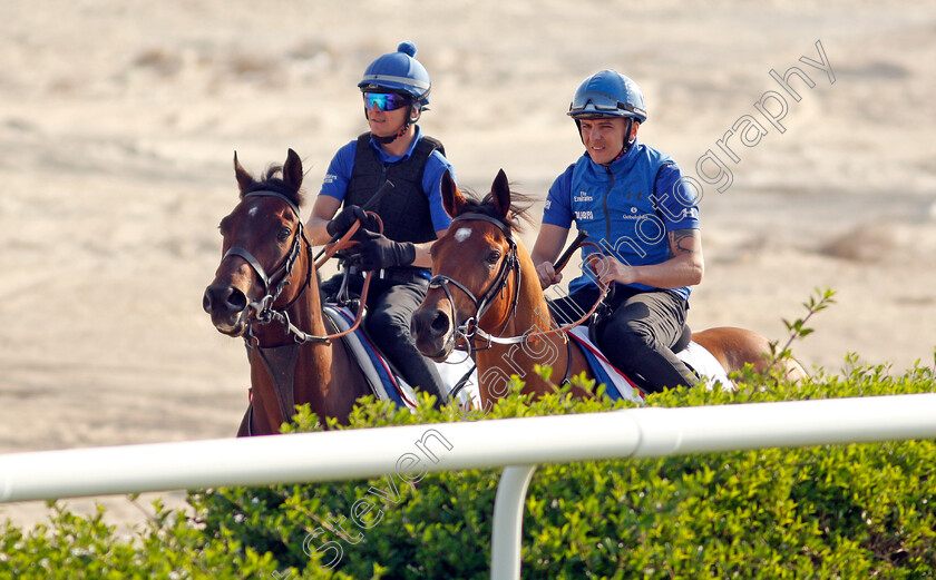 Zakouski-and-Dubai-Future-0002 
 ZAKOUSKI (left) and DUBAI FUTURE (right) exercising in preparation for Friday's Bahrain International Trophy
Sakhir Racecourse, Bahrain 18 Nov 2021 - Pic Steven Cargill / Racingfotos.com