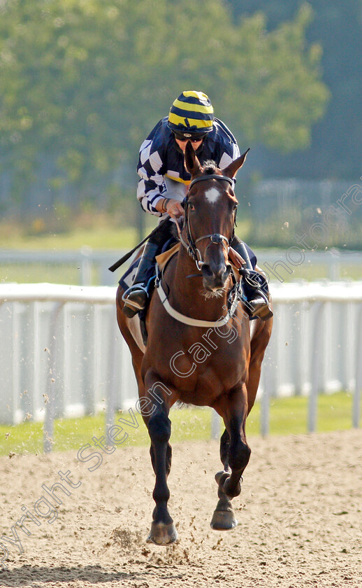 Come-On-Bear-0002 
 COME ON BEAR (Jack Mitchell) wins The Download The At The Races App Classified Stakes Div1
Wolverhampton 11 Aug 2020 - Pic Steven Cargill / Racingfotos.com